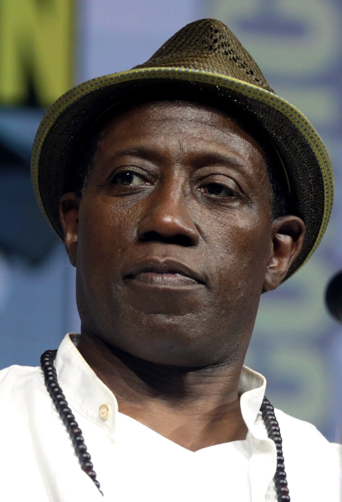 Wesley Snipes' Lowball Offer in Compromise Rejected in Tax Court
